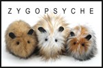 Zygopsyche